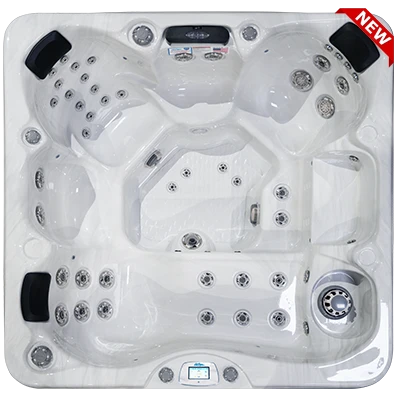 Avalon-X EC-849LX hot tubs for sale in National City