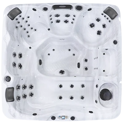 Avalon EC-867L hot tubs for sale in National City