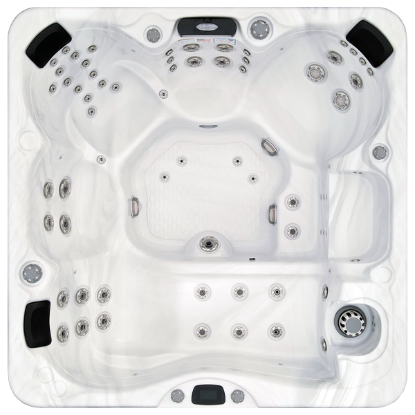 Avalon-X EC-867LX hot tubs for sale in National City